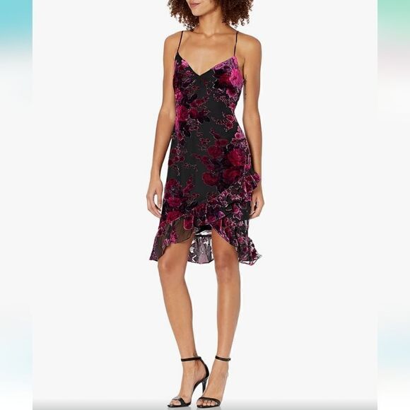 Likely Nwt Shana Velvet Floral Mini Dress